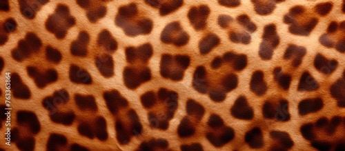 Close-up view of brown and black animal pattern