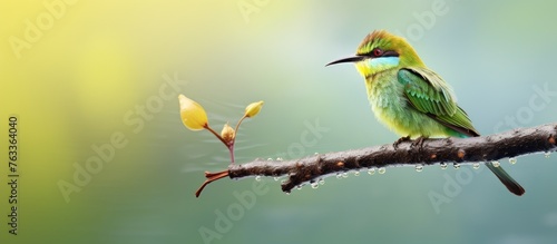 Bird perched on branch with...