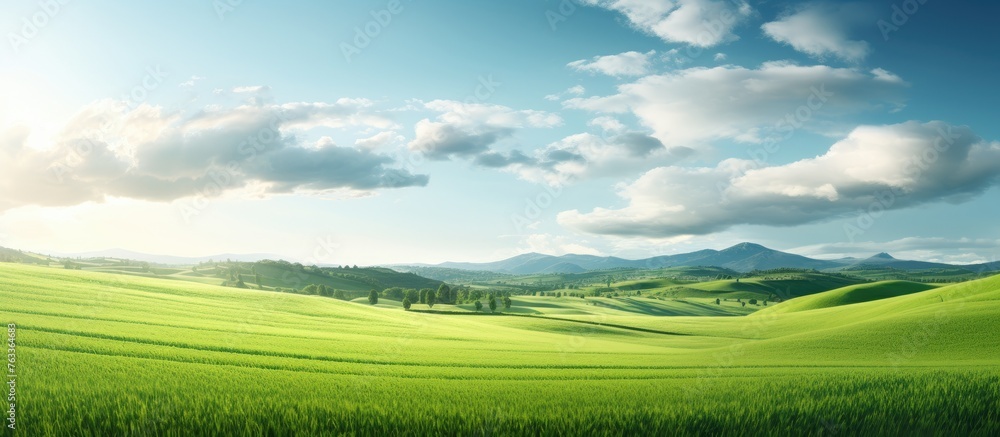 Green field with trees and hills under cloudy sky
