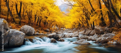 A stream flowing through a ...