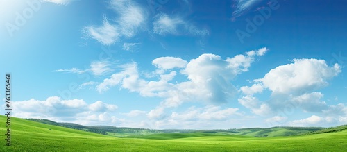 Green field under a clear blue sky