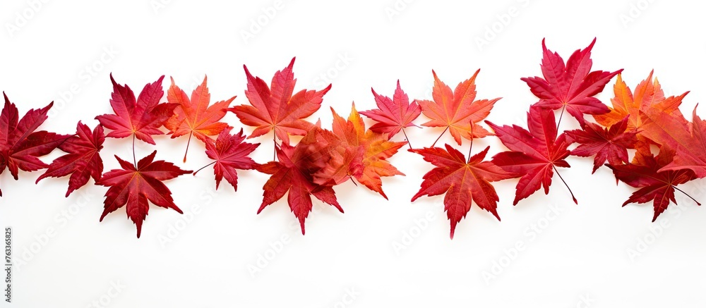 Red and orange autumn leaves close-up