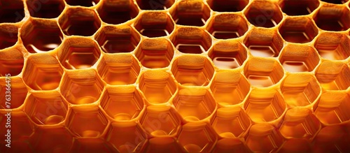 Many honey bottles on table