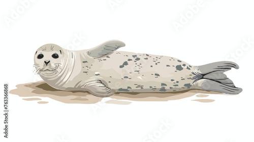 Harbor seal pup Phoca vitulina lying on the beach photo