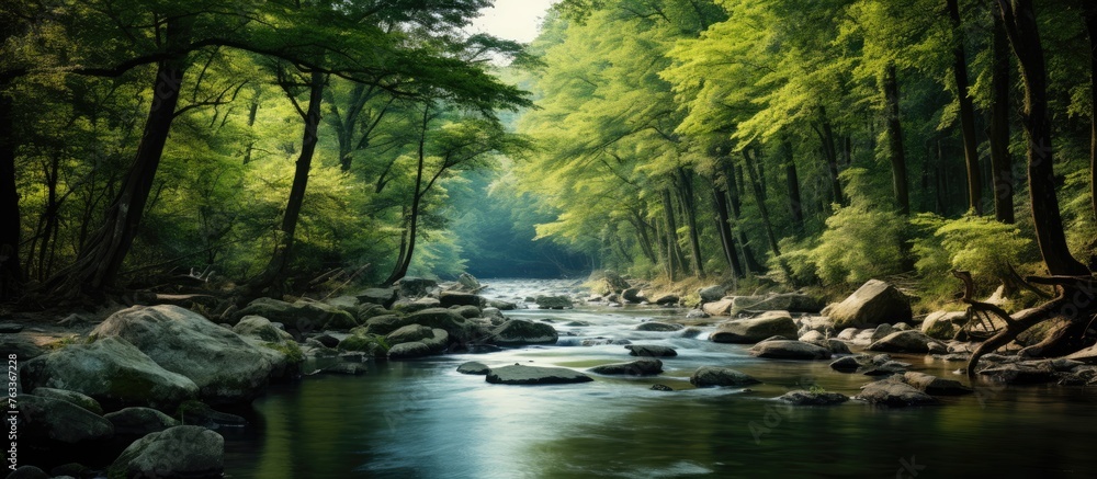 A serene river with stones and greenery in the background A serene river with stones and greenery in the background