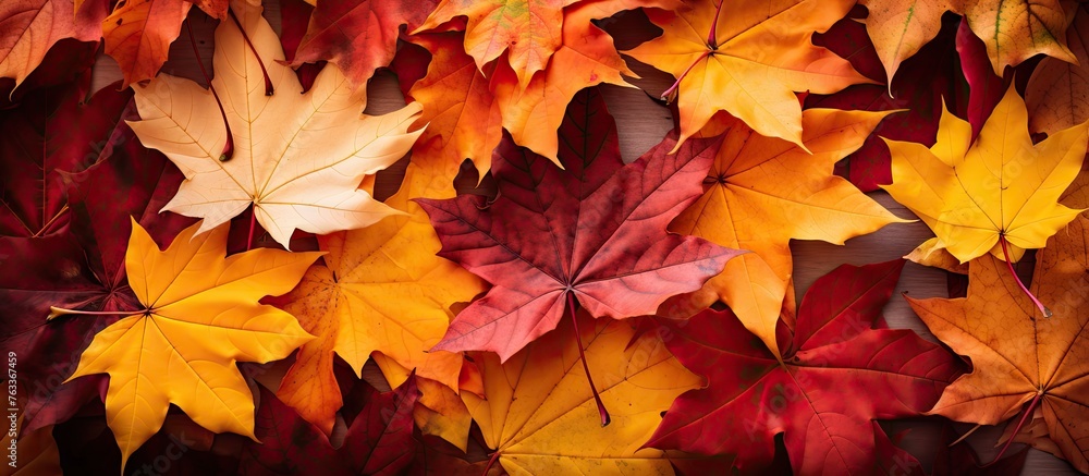 A bunch of assorted leaves on a wooden surface