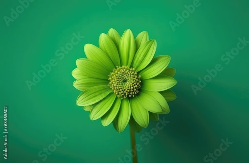 One green flower on green monochrome background. Copy space, place for text, empty space. View from above.