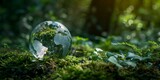 Glass globe on a mossy surface symbolizing environmental concepts
