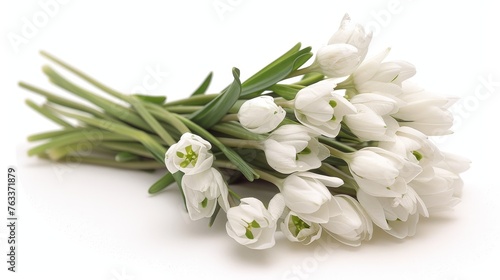 Beautiful bunch of snowdrops flowers