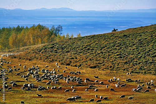 From atop a distant hill, a rancher on horseback watches over his herd of sheep on Steens Mountain in southeastern Oregon; Oregon, United States of America photo