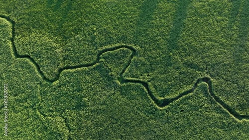 Winding river in jungle, Amazon. Zigzag River, drone view. Small river in field, Aerial view. Wildlife Refuge Wetland Restoration. Green Nature Scenery. River in Wildlife. Freshwater and Ecosystem. 