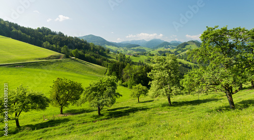 oberösterreichisches Alpenvorland nahe Maria Neustift, Birnbäume, Oberösterreich, Österreich