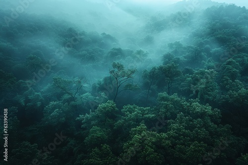 Misty hills covered in dense green foliage showcase the moody atmosphere of a forested landscape.