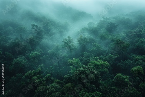 Misty hills covered in dense green foliage showcase the moody atmosphere of a forested landscape.