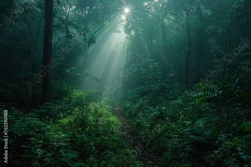 Sunbeams filter through the dense foliage of a lush green forest  creating a mystical and tranquil scene.