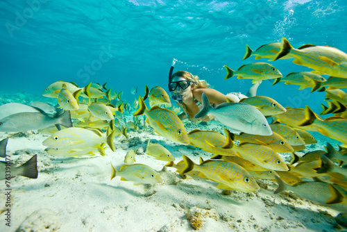 Snorkeling in Shark Alley and Hol Chan Marine Reserve; Ambergris Cay, Belize