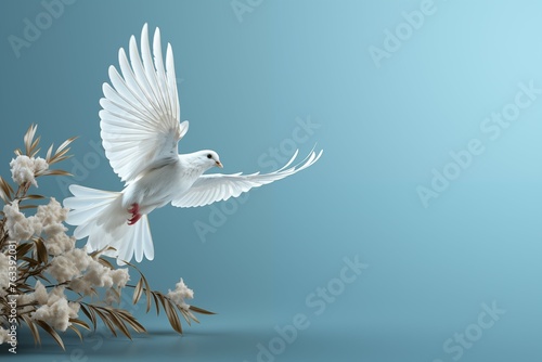 white dove flying free on light and soft blue and white background for freedom and relax design