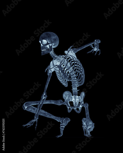 Fototapeta Naklejka Na Ścianę i Meble -  structural skeleton is crouched and ready for action