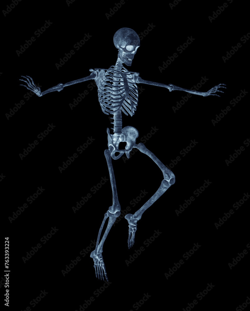 structural skeleton is landing