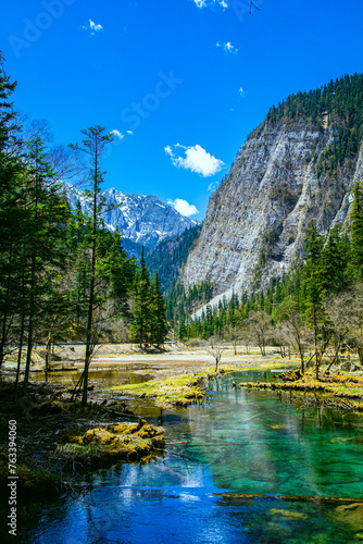 Fototapeta Naklejka Na Ścianę i Meble -  Jiuzhaigou Valley, Aba Qiang and Tibetan Autonomous Prefecture, Sichuan Province - beautiful lakes and mountains under the blue sky