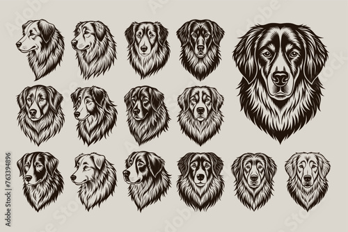 Set of detailed great pyrenees dog face sticker illustration design