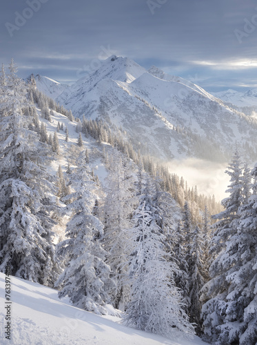 Blick vom Kreuzkogel zum Laderdinger Gamskarspitz, Dorfgastein, Gasteinertal, Pongau, Salzburg, Österreich photo