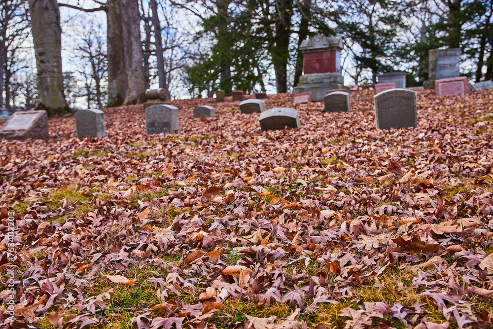 Autumn Leaves and Gravestones at Lindenwood Cemetery, Ground-Level View Autumn Leaves and Gravestones at Lindenwood Cemetery, Ground-Level View