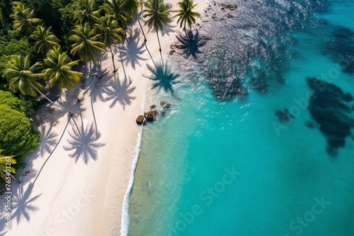 Aerial shot of a pristine beach with crystal clear waters and palm trees © KerXing