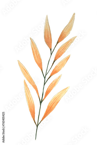 Orange leaf watercolor, natural, PNG