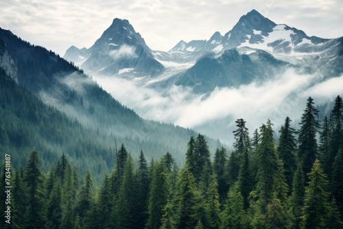 Majestic forested mountains covered in a thick blanket of trees © KerXing