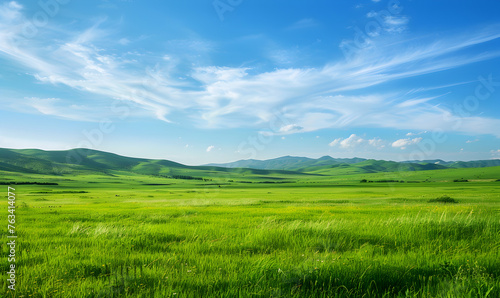 The grassland, on the clean background. © Nim
