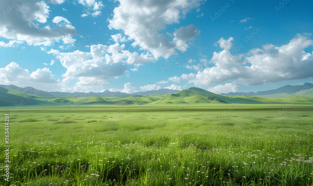 Fototapeta premium The grassland, on the clean background.