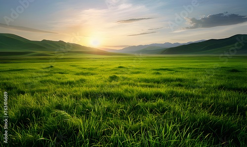 The grassland  on the clean background.