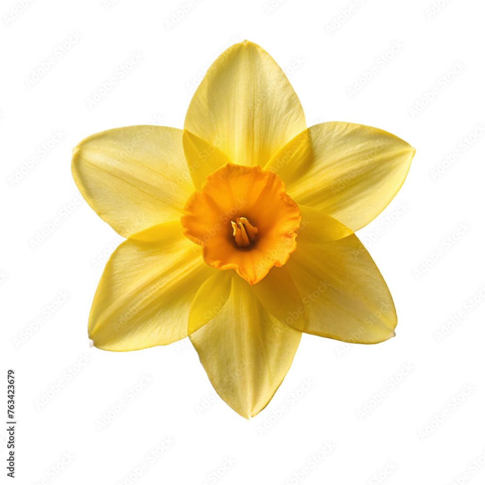 Wooden spoon. isolated on transparent background. Wooden spoon. isolated on transparent background.