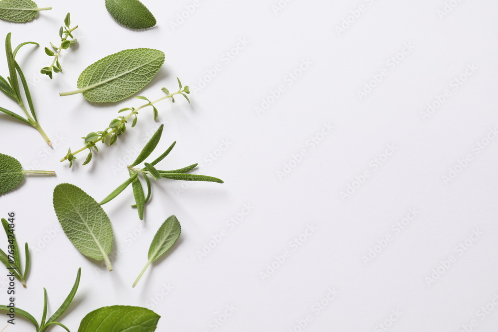 Various herbs on a white background - obrazy, fototapety, plakaty 