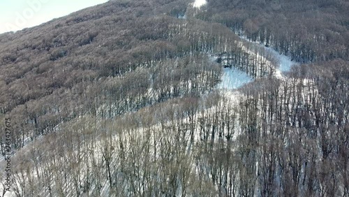 Ripresa aerea bosco di Piano Battaglia Parco delle madonie dopo una nevicata con veduta impianti sciistici innevati al tramonto con colori che regalano una vista mozzafiato suggestiva ed un'atmosfera  photo
