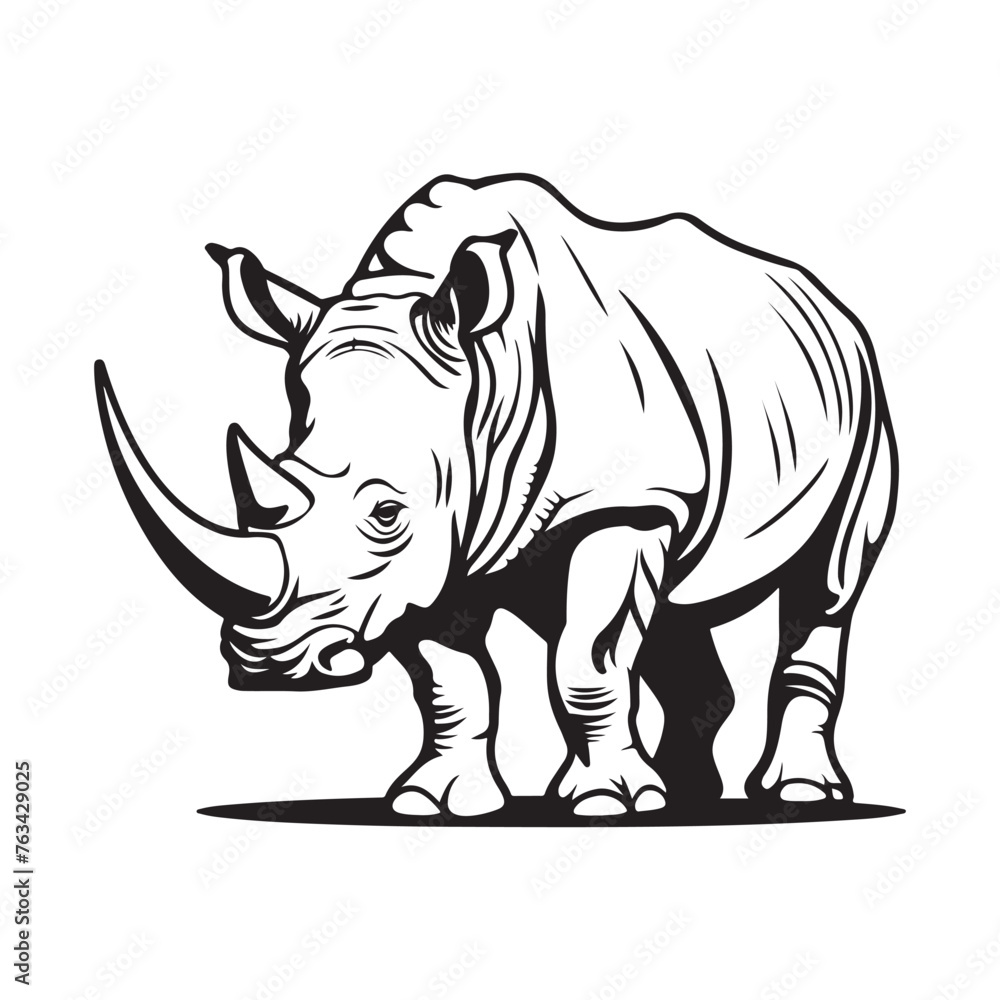 Vector illustration of rhino isolated on white background, Rhino on white