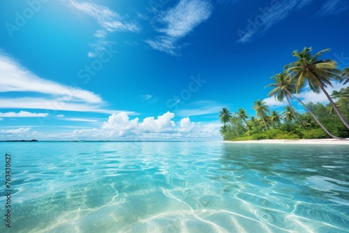 Tropical paradise sky background with palm trees and a crystal-clear sea © KerXing