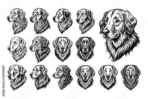 Set of hand drawn golden retriever dog head illustration design