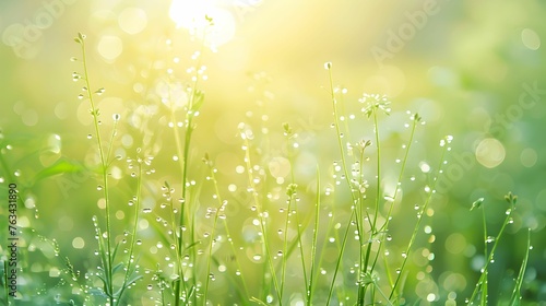The lush green of spring grass jeweled with morning dew, sparkling under a rising sun with a bokeh light effect.