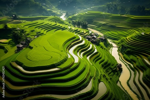 Aerial shot capturing the symmetrical beauty of terraced paddy field formations
