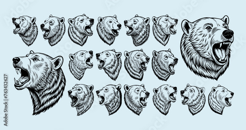 Hand drawn side view roaring polar bear head illustration design set
