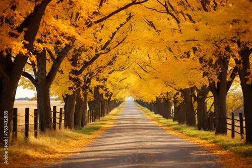Charming country road lined with trees adorned in their autumn best, leading to a horizon of endless fall beauty