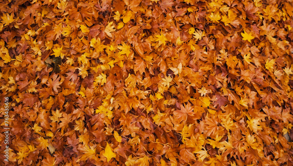 Autumn leaves background Autumn leaves background