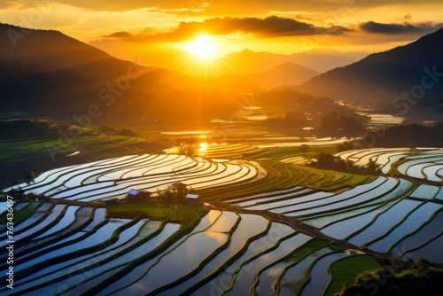 Paddy fields transformed into a golden sea during the sunset hour