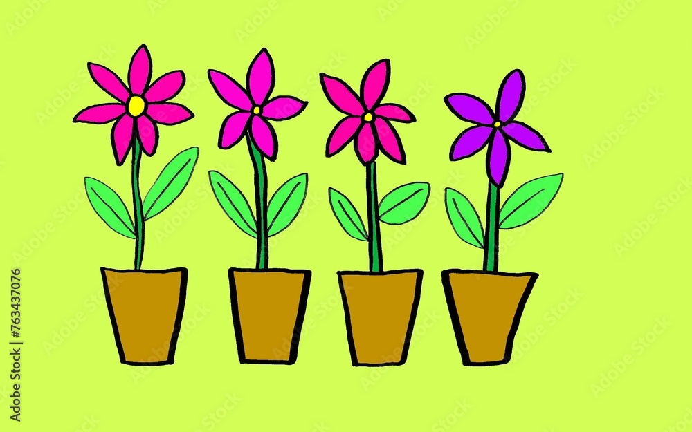colorful flower plant in a pot with lemon green background