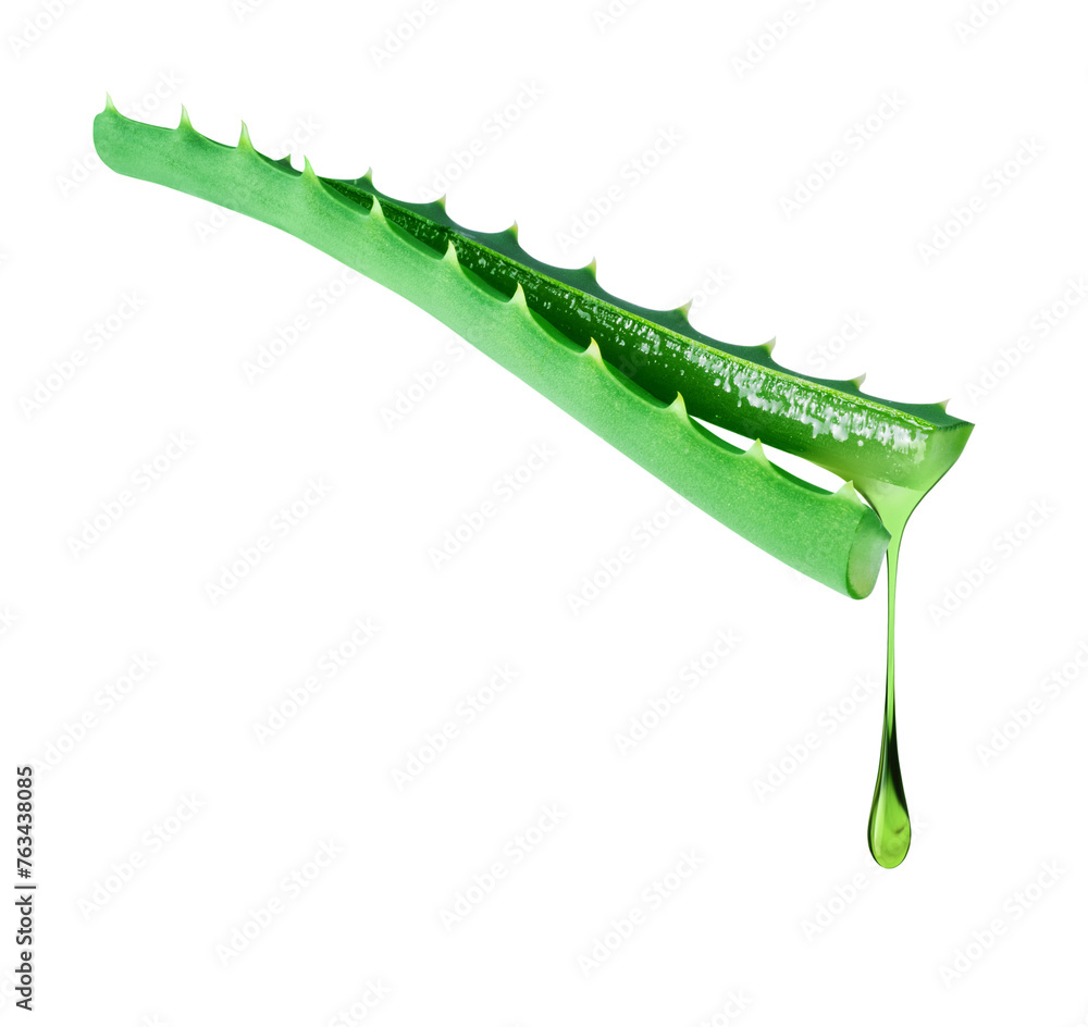 Naklejka premium Drop drips from a cut aloe vera stem close up isolated on a white background