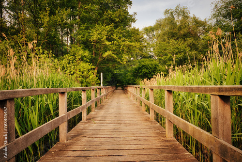 Fototapeta Naklejka Na Ścianę i Meble -  Wooden planks footbridge in a park - Bohlensteg Blankensee bei Trebbin - Herbst - Brandenburg - Germany - See - Park - Steg - Jetty - Nature - Landschaft