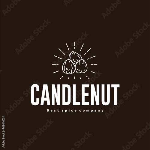 vector illustration of the candlenut spice logo icon, candlenut kitchen spice for the cooking industry