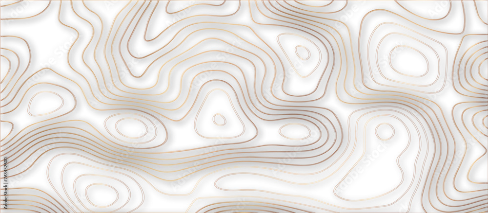 Abstract 3d wave paper curved reliefs background .gradient multicolor wave curve lines banner background design .3d topographic contours map background .Vector 3d geographic contour map. Abstract 3d wave paper curved reliefs background .gradient multicolor wave curve lines banner background design .3d topographic contours map background .Vector 3d geographic contour map.
